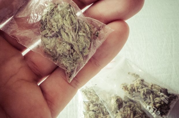 Marijuana in plastic bags